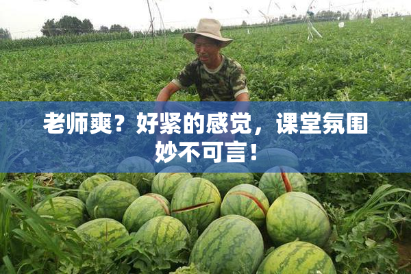 老师爽？好紧的感觉，课堂氛围妙不可言！
