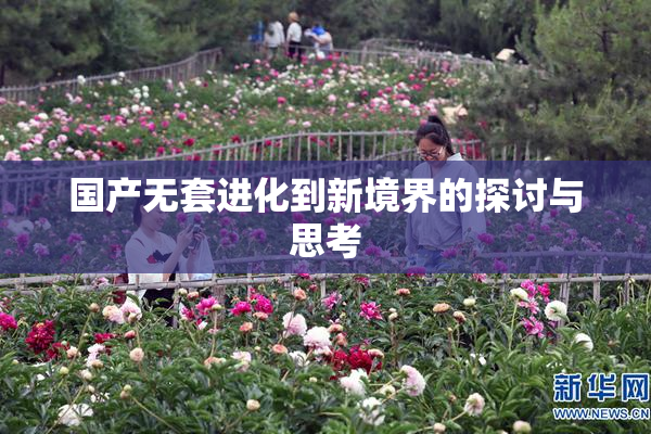 国产无套进化到新境界的探讨与思考