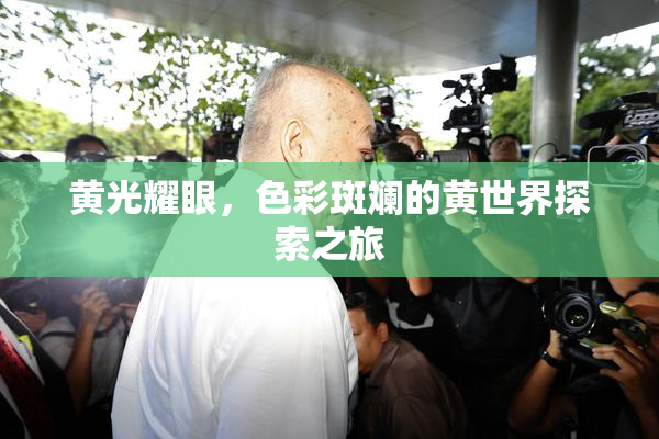 黄光耀眼，色彩斑斓的黄世界探索之旅