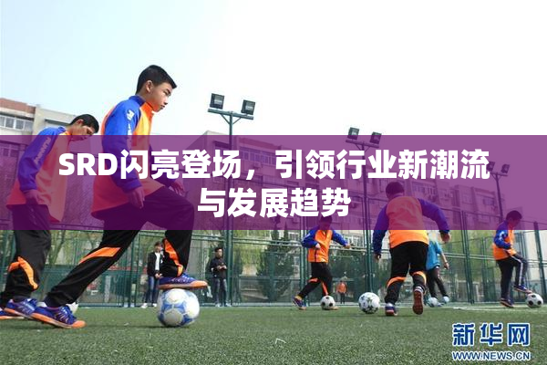 SRD闪亮登场，引领行业新潮流与发展趋势