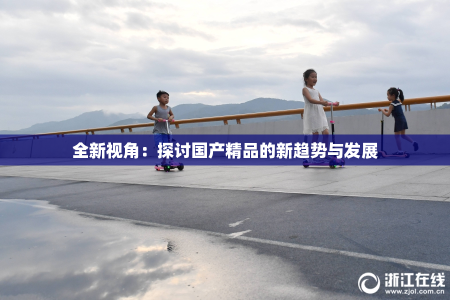 全新视角：探讨国产精品的新趋势与发展