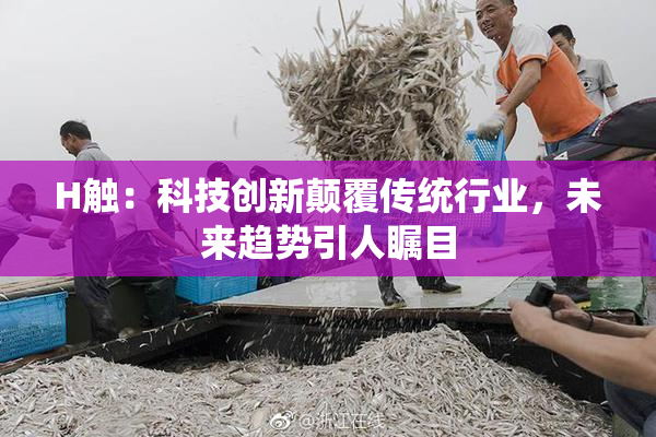H触：科技创新颠覆传统行业，未来趋势引人瞩目