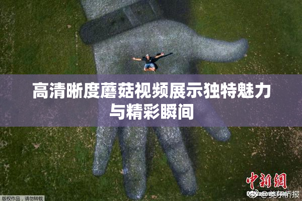 高清晰度蘑菇视频展示独特魅力与精彩瞬间