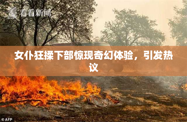 女仆狂揉下部惊现奇幻体验，引发热议