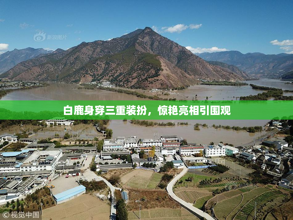 白鹿身穿三重装扮，惊艳亮相引围观