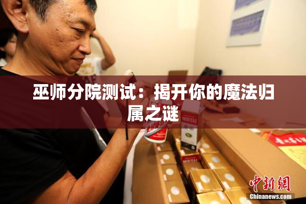 巫师分院测试：揭开你的魔法归属之谜