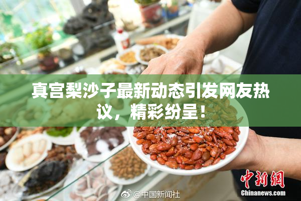 真宫梨沙子最新动态引发网友热议，精彩纷呈！