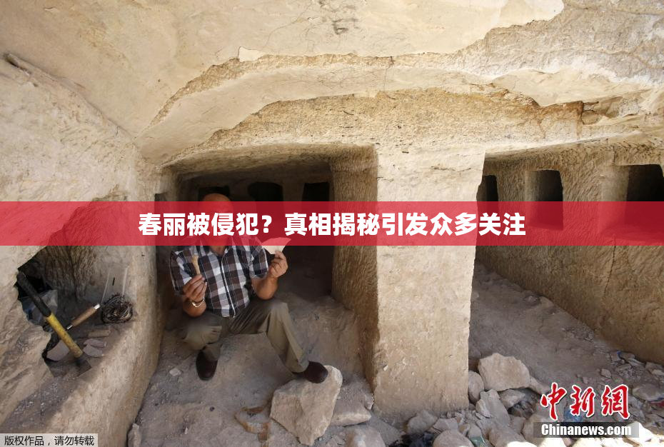 春丽被侵犯？真相揭秘引发众多关注