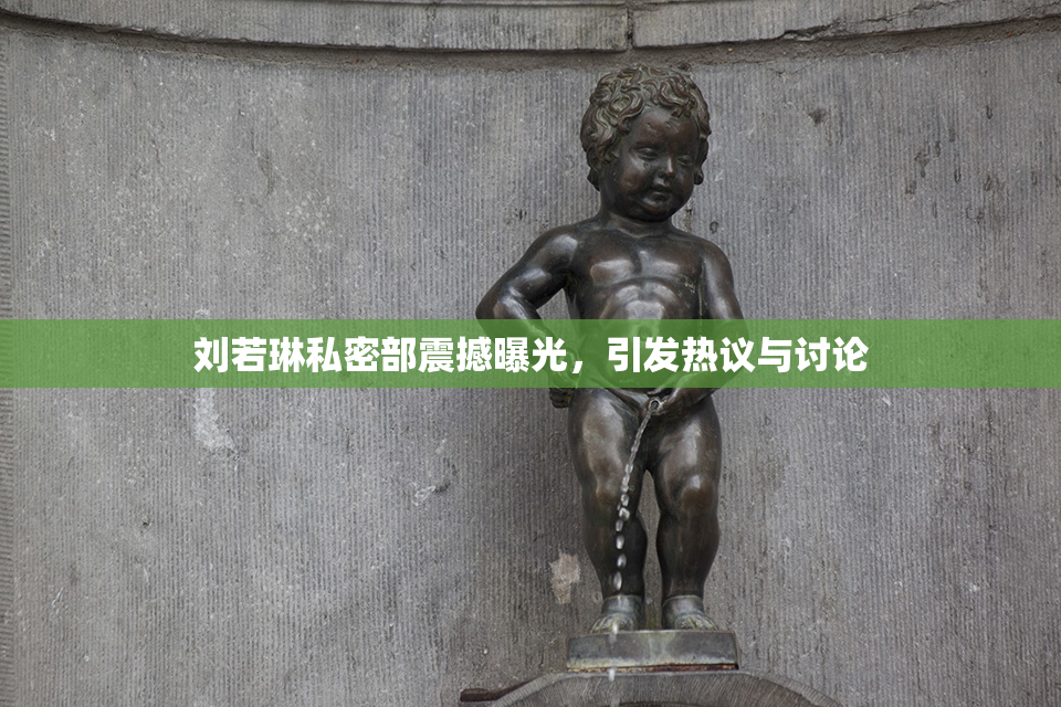 刘若琳私密部震撼曝光，引发热议与讨论