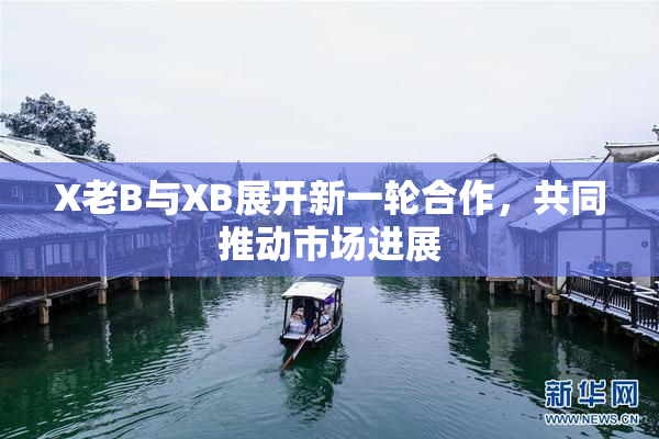 X老B与XB展开新一轮合作，共同推动市场进展