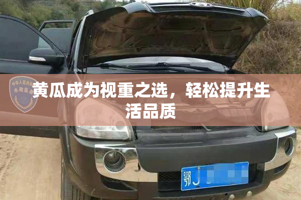 黄瓜成为视重之选，轻松提升生活品质