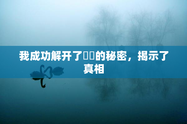 我成功解开了妺妺的秘密，揭示了真相