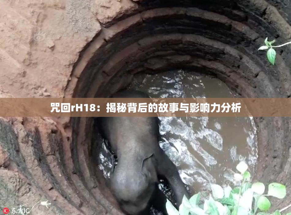 咒回rH18：揭秘背后的故事与影响力分析