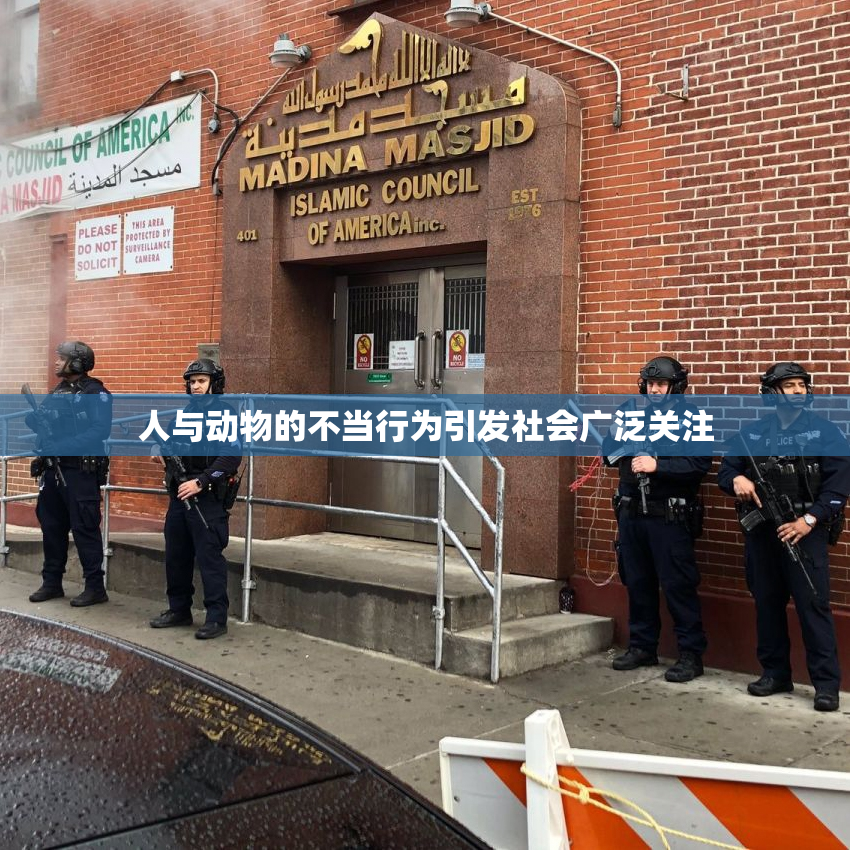 人与动物的不当行为引发社会广泛关注