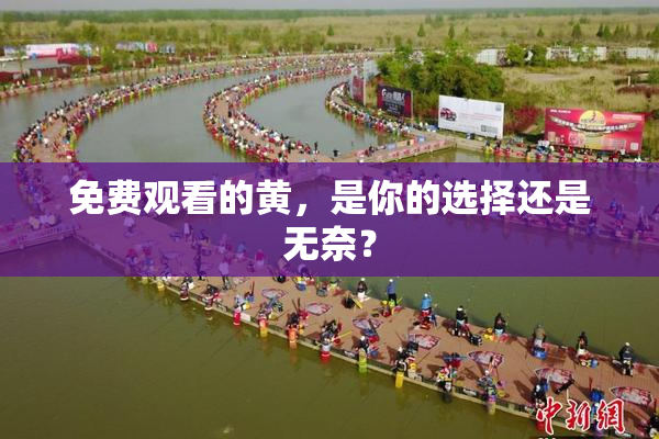 免费观看的黄，是你的选择还是无奈？