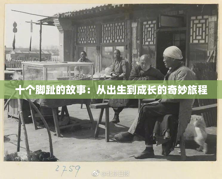十个脚趾的故事：从出生到成长的奇妙旅程