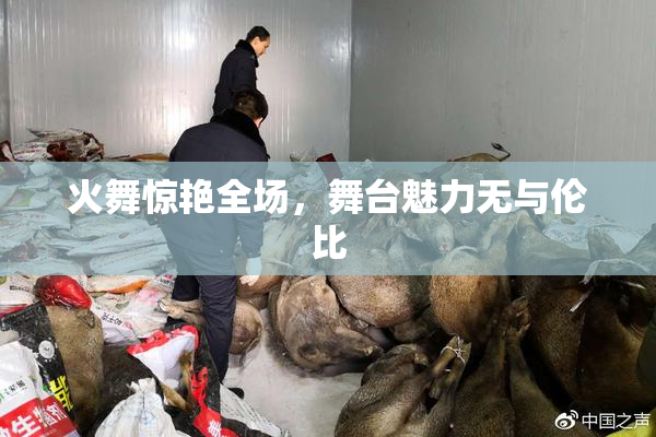 火舞惊艳全场，舞台魅力无与伦比