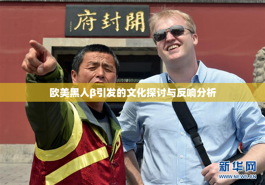 欧美黑人β引发的文化探讨与反响分析