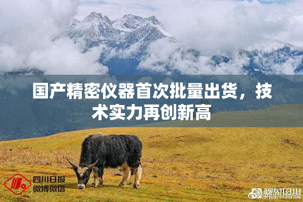 国产精密仪器首次批量出货，技术实力再创新高