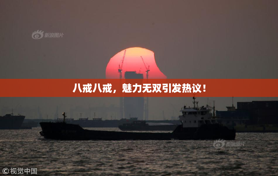 八戒八戒，魅力无双引发热议！