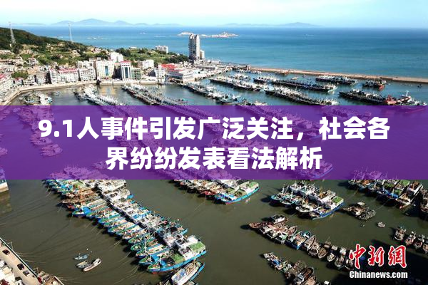 9.1人事件引发广泛关注，社会各界纷纷发表看法解析
