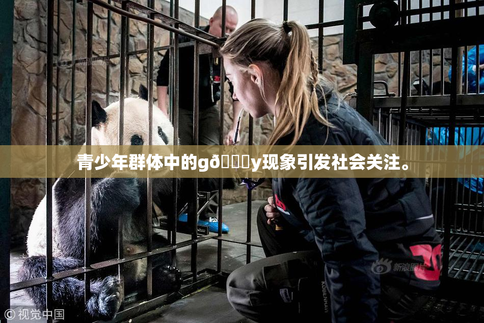 青少年群体中的g🈚y现象引发社会关注。