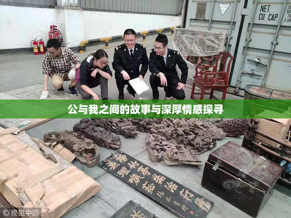 公与我之间的故事与深厚情感探寻