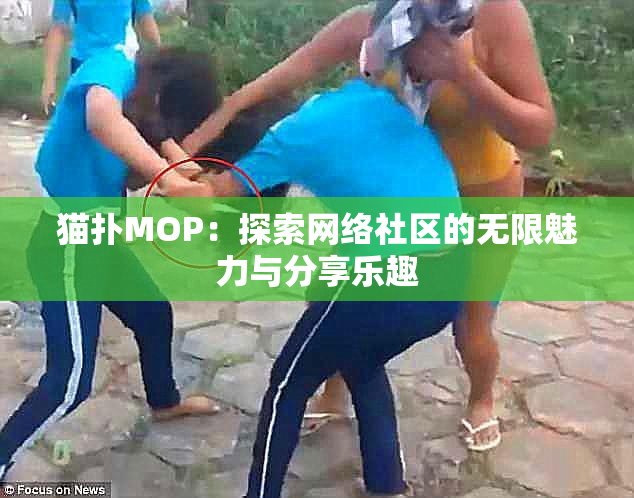 猫扑MOP：探索网络社区的无限魅力与分享乐趣