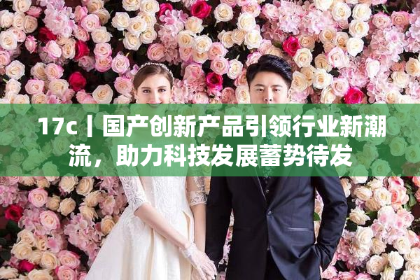 17c丨国产创新产品引领行业新潮流，助力科技发展蓄势待发