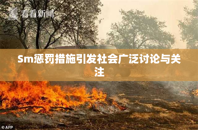 Sm惩罚措施引发社会广泛讨论与关注