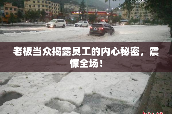 老板当众揭露员工的内心秘密，震惊全场！