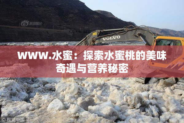 WWW.水蜜：探索水蜜桃的美味奇遇与营养秘密