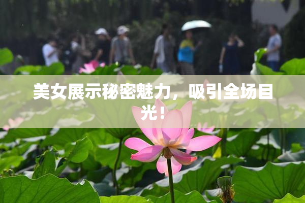 美女展示秘密魅力，吸引全场目光！