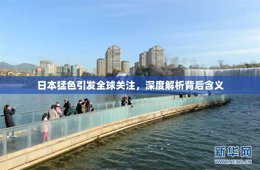 日本猛色引发全球关注，深度解析背后含义
