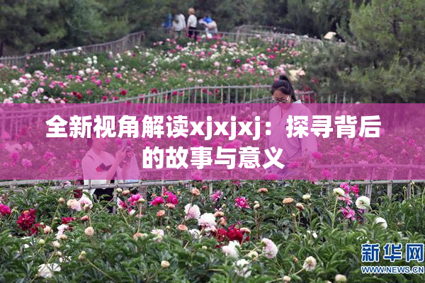 全新视角解读xjxjxj：探寻背后的故事与意义