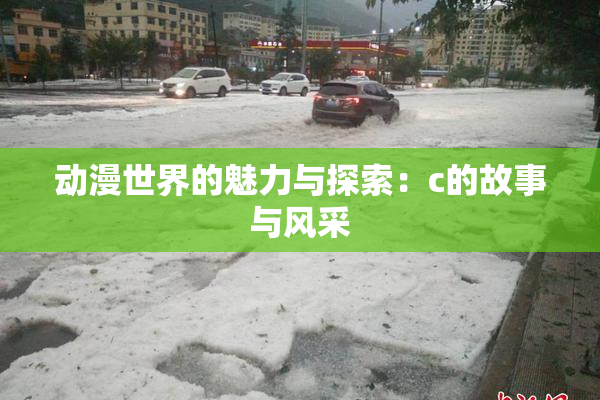 动漫世界的魅力与探索：c的故事与风采