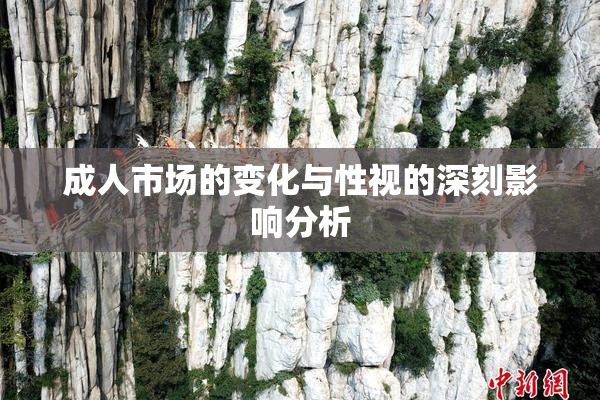 成人市场的变化与性视的深刻影响分析