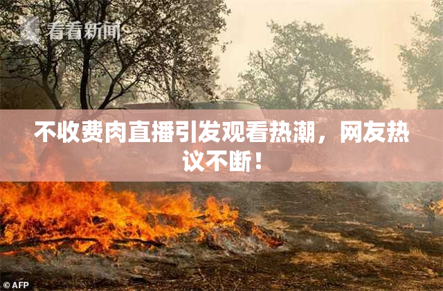 不收费肉直播引发观看热潮，网友热议不断！