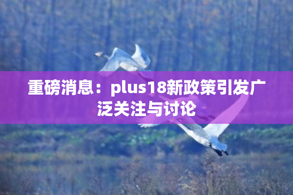 重磅消息：plus18新政策引发广泛关注与讨论