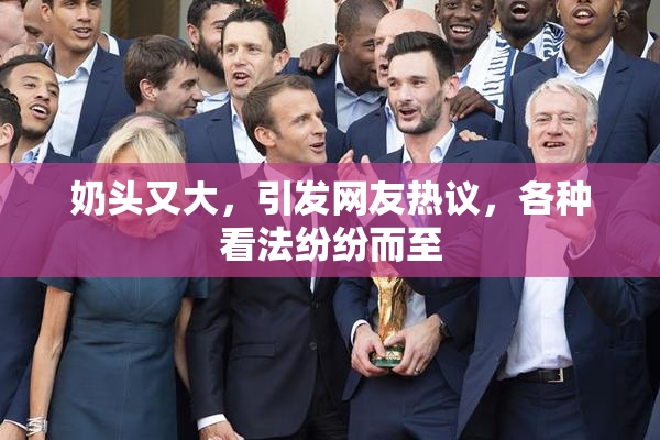 奶头又大，引发网友热议，各种看法纷纷而至