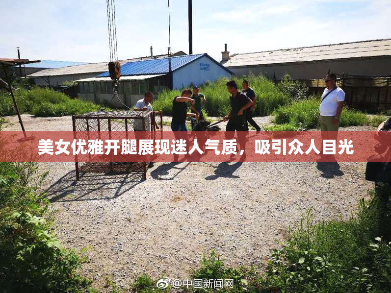 美女优雅开腿展现迷人气质，吸引众人目光