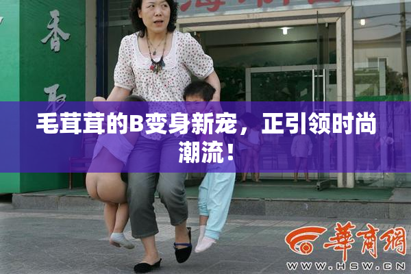 毛茸茸的B变身新宠，正引领时尚潮流！