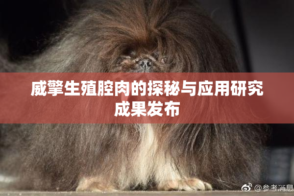 威擎生殖腔肉的探秘与应用研究成果发布