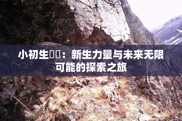 小初生❌‌：新生力量与未来无限可能的探索之旅