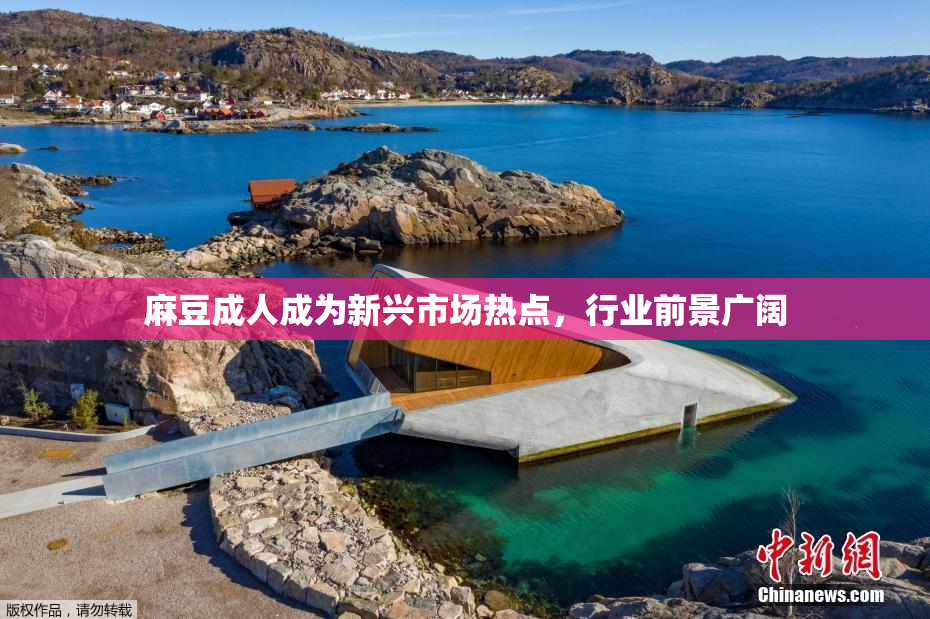 麻豆成人成为新兴市场热点，行业前景广阔