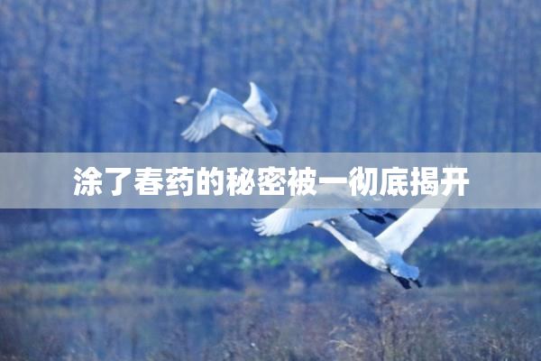 涂了春药的秘密被一彻底揭开