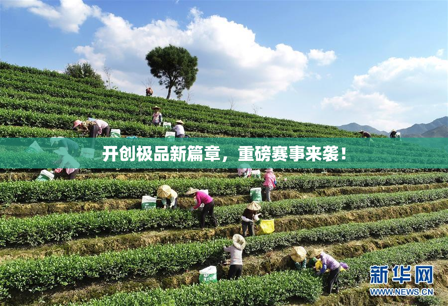 开创极品新篇章，重磅赛事来袭！