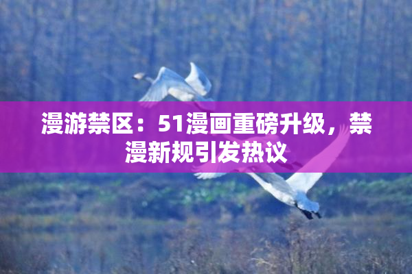 漫游禁区：51漫画重磅升级，禁漫新规引发热议