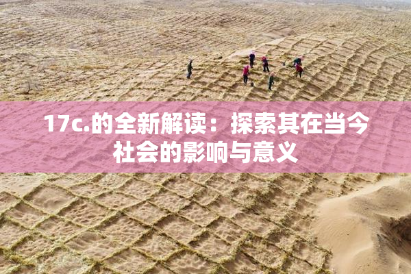 17c.的全新解读：探索其在当今社会的影响与意义