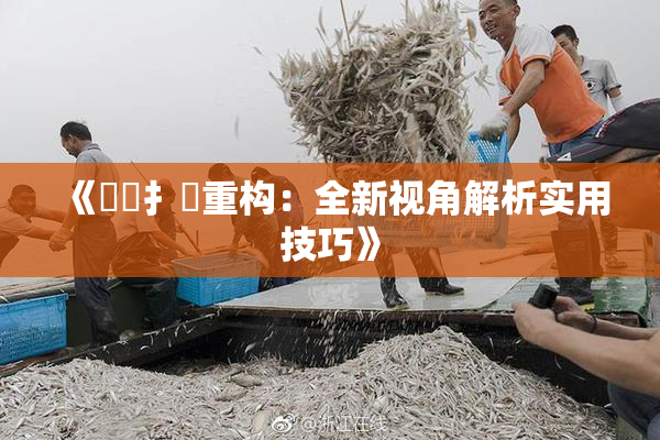 《喿喿扌畐重构：全新视角解析实用技巧》